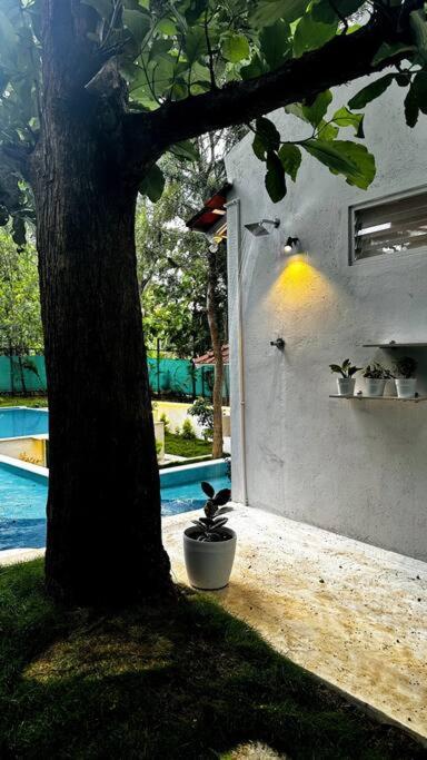 Serenity Farm Stay Hampāpura Buitenkant foto