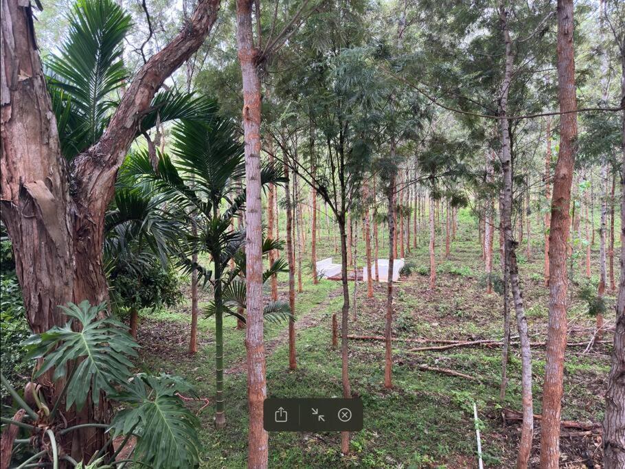 Serenity Farm Stay Hampāpura Buitenkant foto